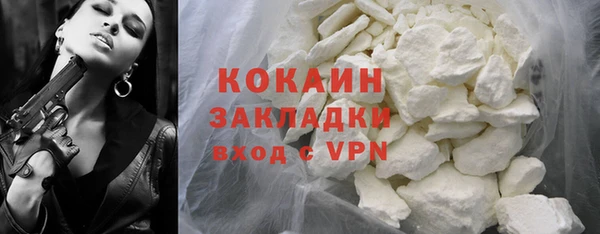 индика Горнозаводск