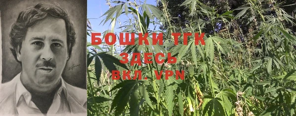 Альфа ПВП Горно-Алтайск