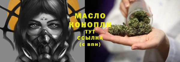 индика Горнозаводск