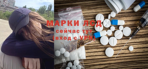 индика Горнозаводск