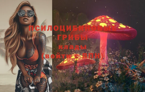 Альфа ПВП Горно-Алтайск