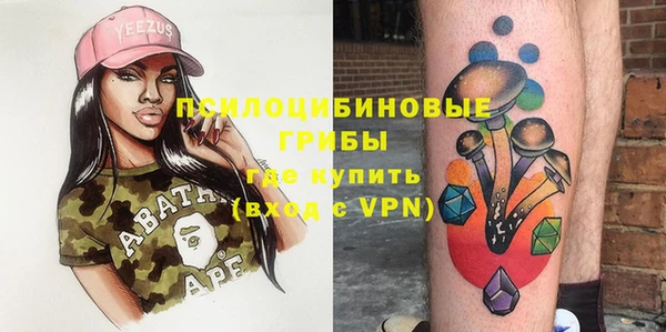 индика Горнозаводск