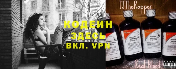 индика Горнозаводск