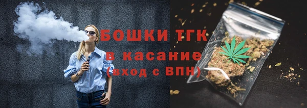 индика Горнозаводск
