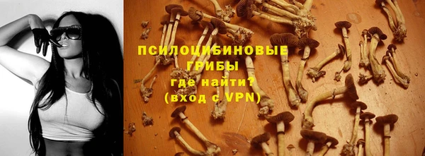 Альфа ПВП Горно-Алтайск