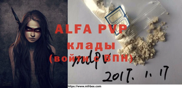 индика Горнозаводск