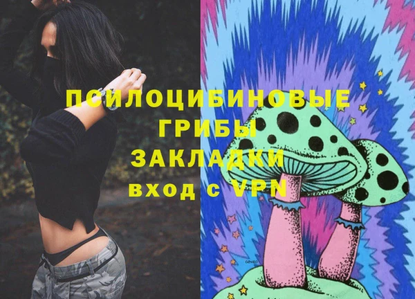 Альфа ПВП Горно-Алтайск