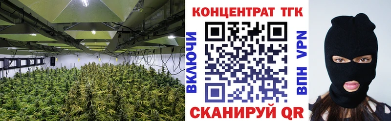 Дистиллят ТГК концентрат  дарнет шоп  Александровское 