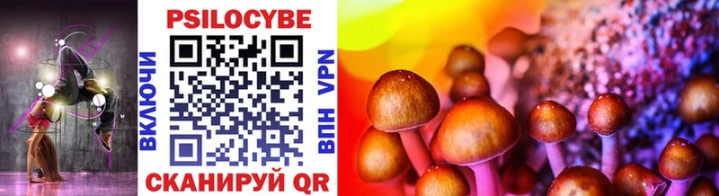 цена наркотик  Александровское  Псилоцибиновые грибы Magic Shrooms 